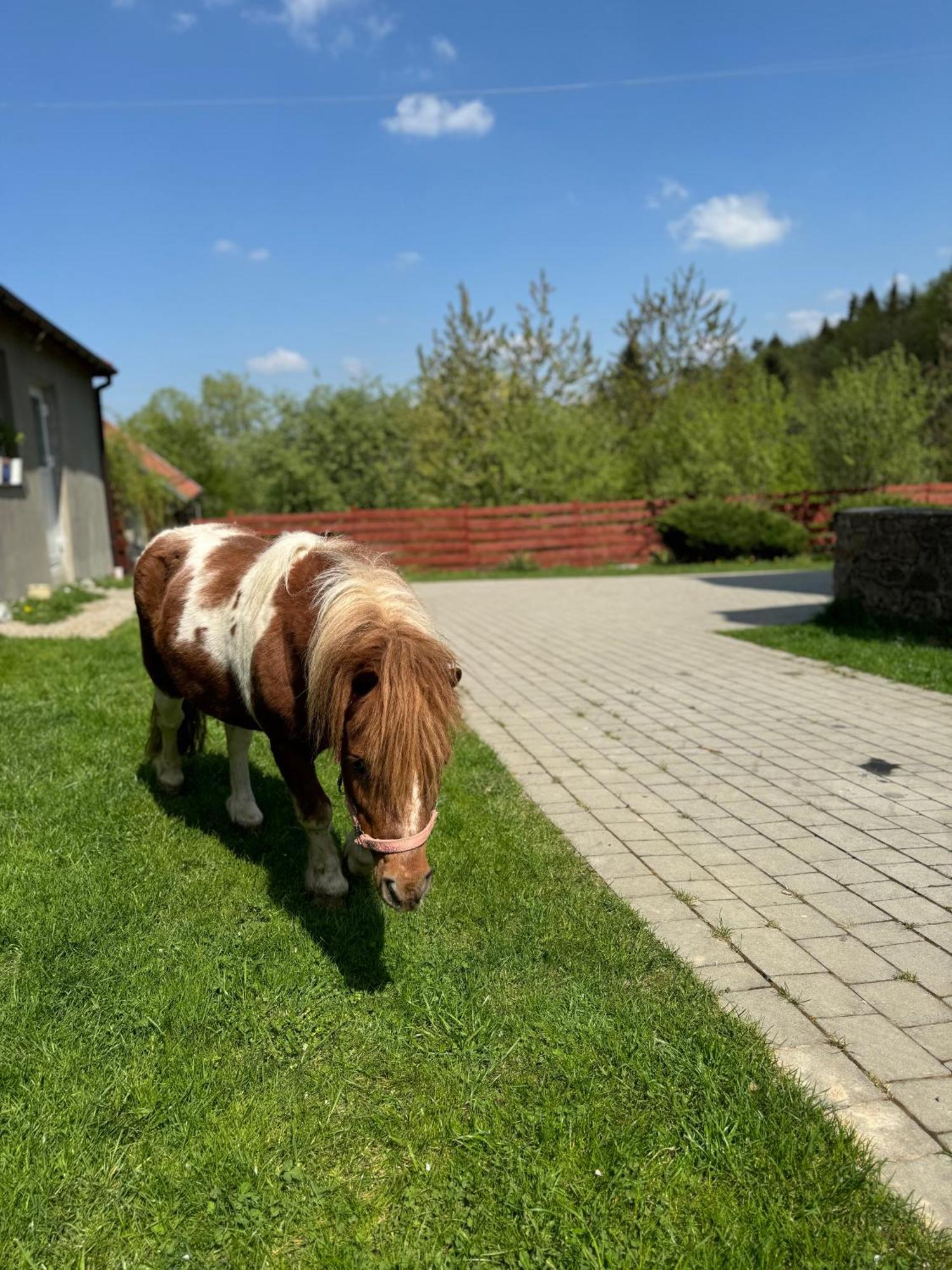 Agroturystyka U Babci Чхув Екстериор снимка