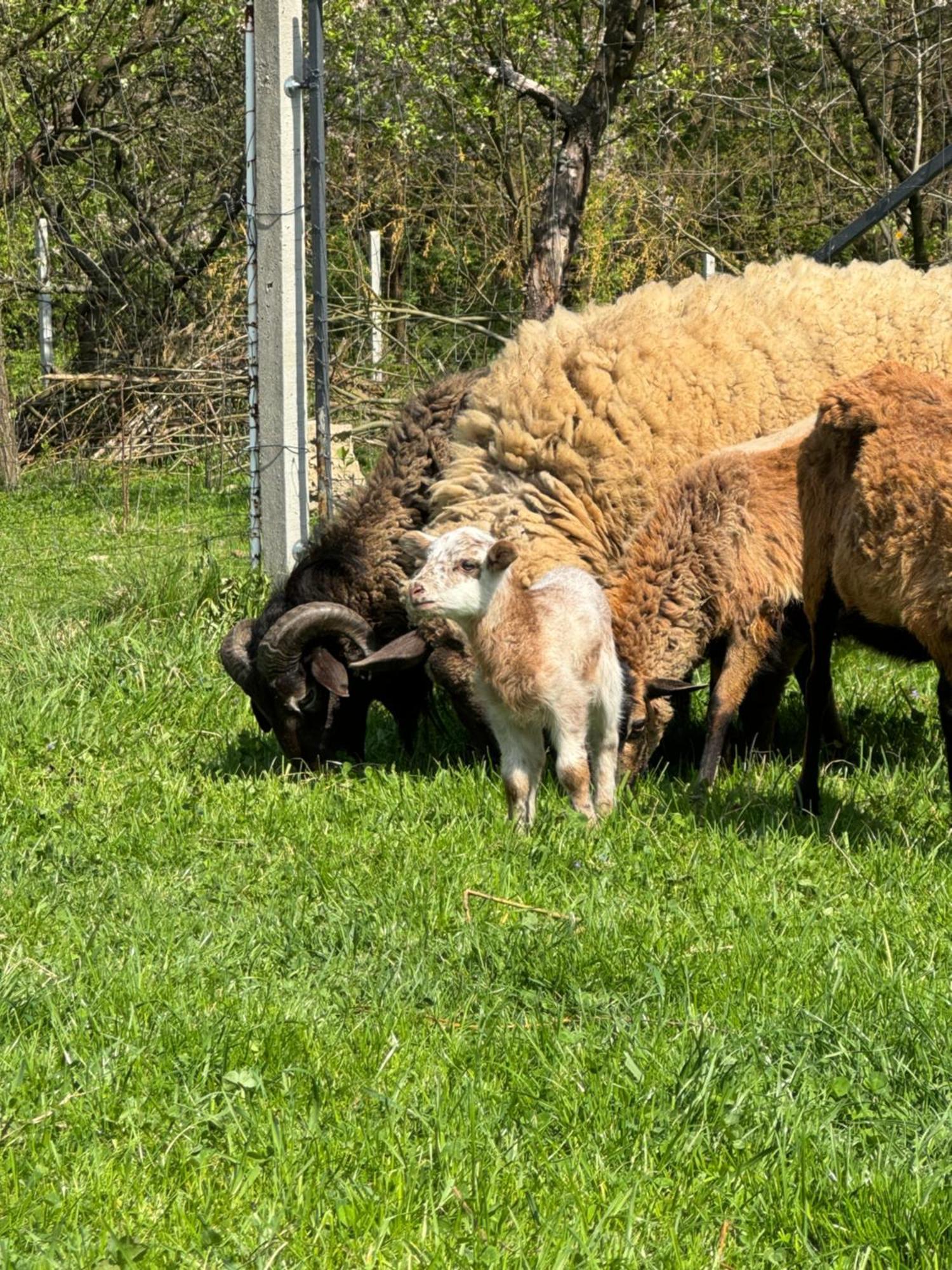 Agroturystyka U Babci Чхув Екстериор снимка